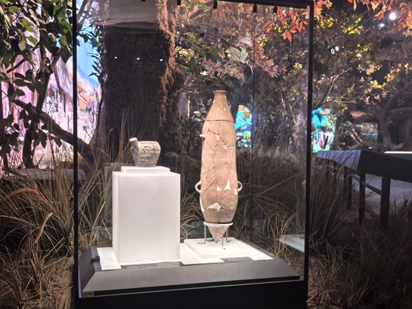 博物馆展柜